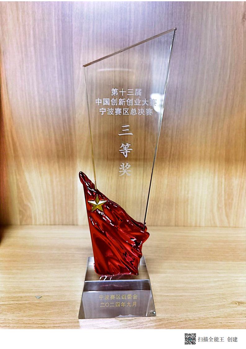 2024年度第十三届中国创新创业大赛宁波赛区总决赛-三等奖-奖杯