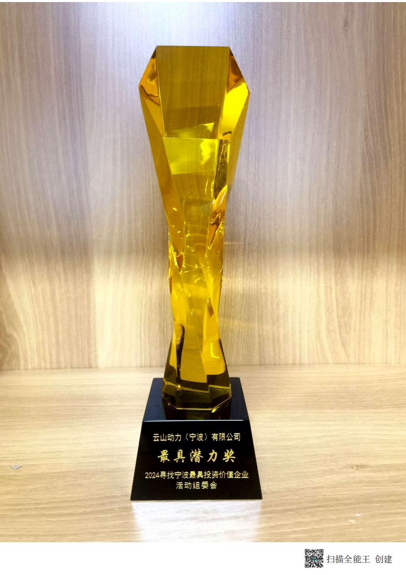 潜力奖-2024寻找宁波投资价值企业活动组委会-奖杯